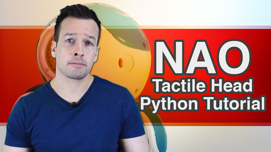 NAO Tactile Head Python Tutorial