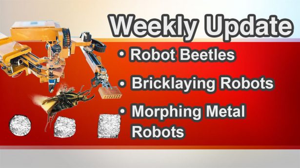 Robot Beetles Bricklaying Robots Morphing Metal Robots