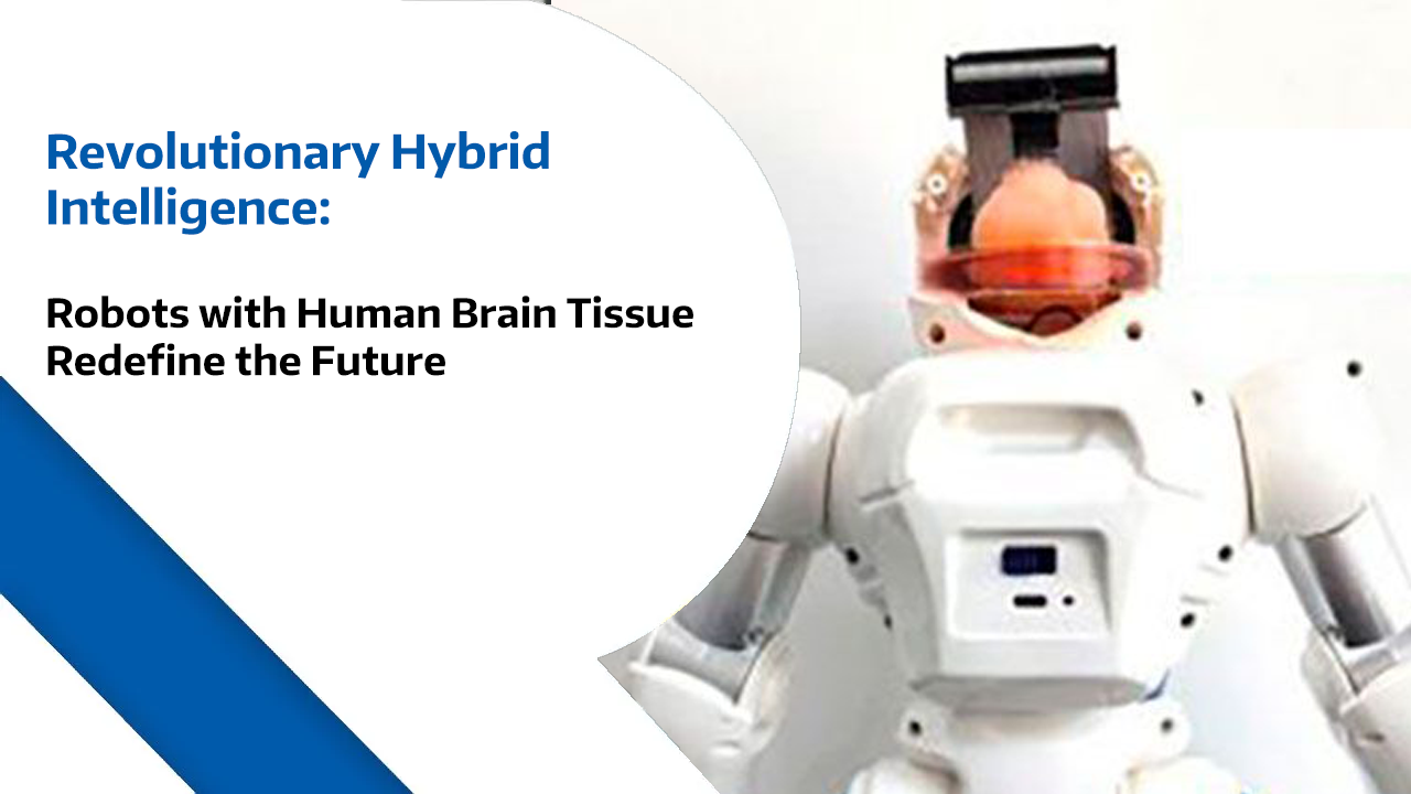 Human brain Robot