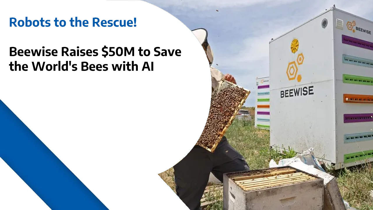 Robots to the Rescue – Beewise Raises $50M to Save the World’s Bees with AI