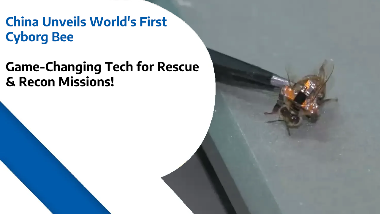 China Unveils World’s First Cyborg Bee – Game-Changing Tech for Rescue & Recon Missions!