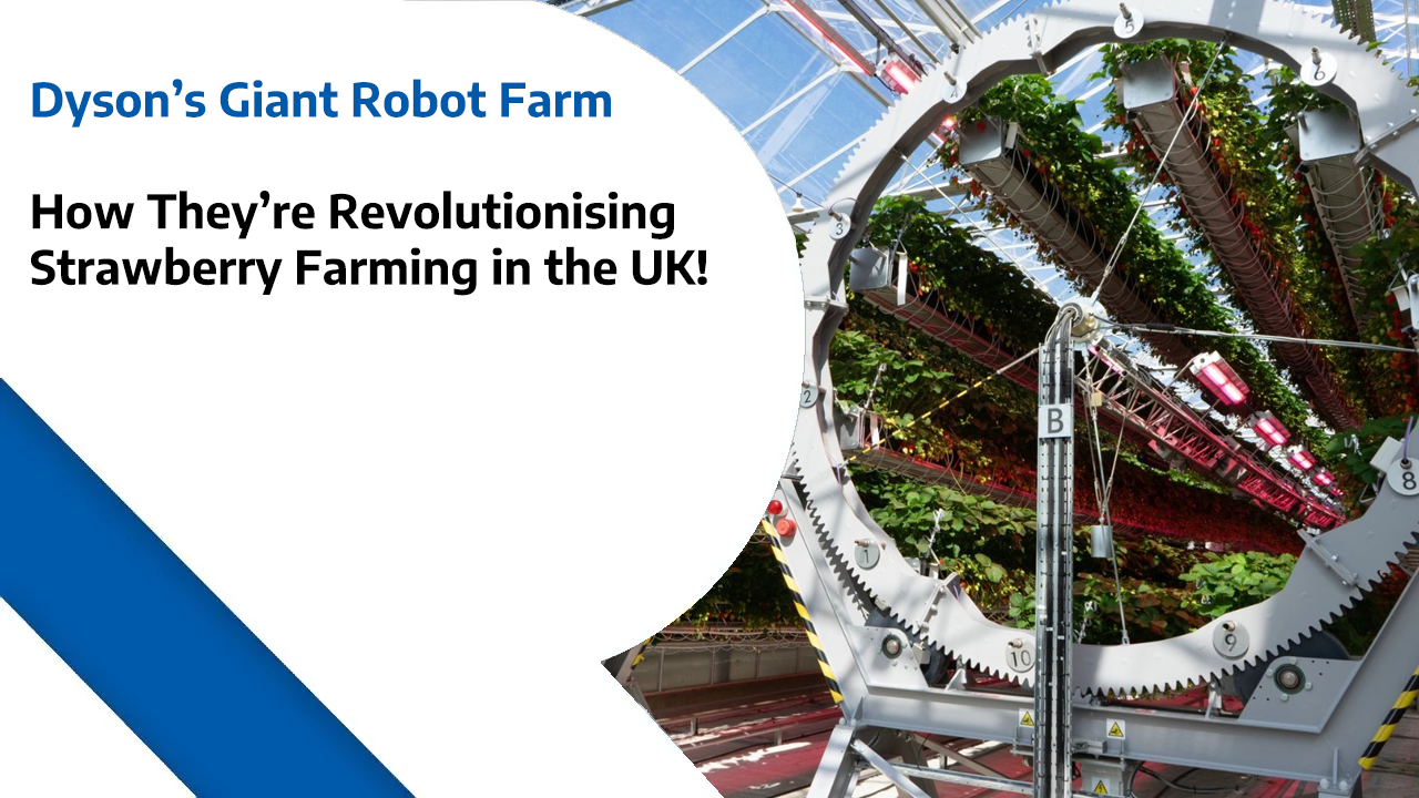 Dyson’s Giant Robot Farm - How They’re Revolutionising Strawberry Farming in the UK!