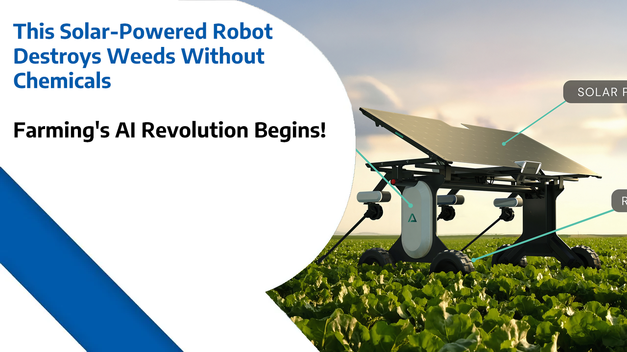 This Solar-Powered Robot Destroys Weeds Without Chemicals – Farming’s AI Revolution Begins!