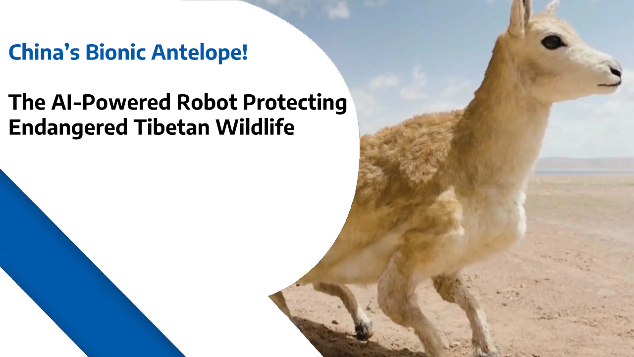 China’s Bionic Antelope – The AI-Powered Robot Protecting Endangered Tibetan Wildlife