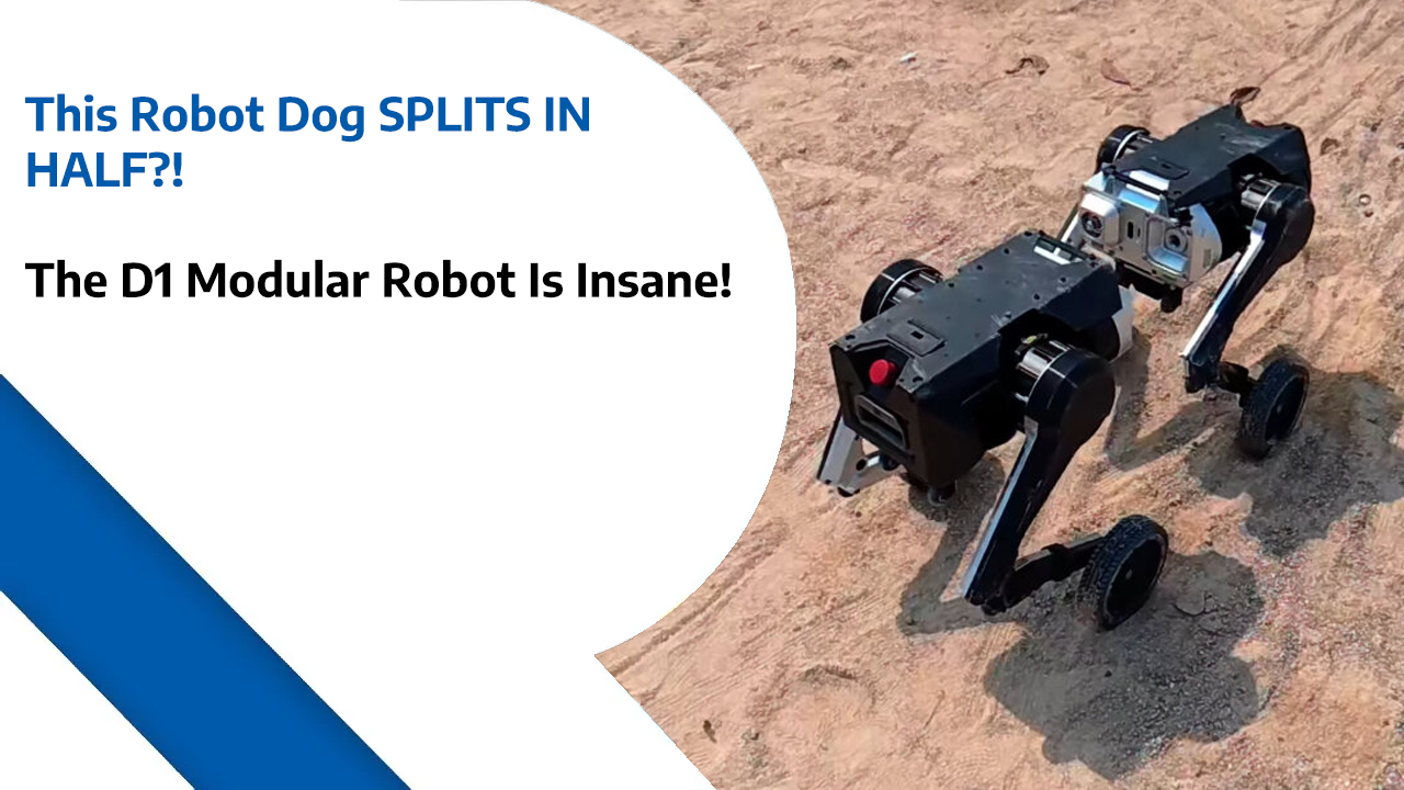 This Robot Dog SPLITS IN HALF?! – The D1 Modular Robot Is Insane!